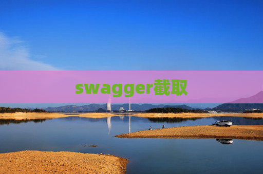 swagger截取 swagger截取
